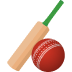 Cricket